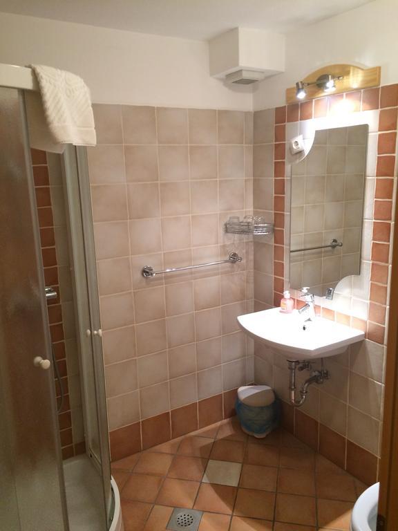 Hotel Gostilna Turk Hotedrsica Pokój zdjęcie